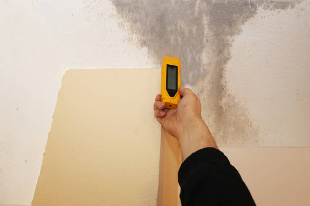 Best Emergency Mold Remediation  in St Peters, MO